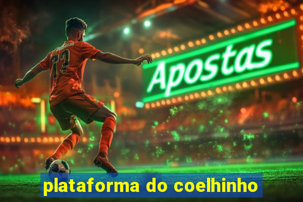 plataforma do coelhinho